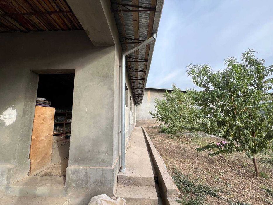 Arendaga joy 20 sotik