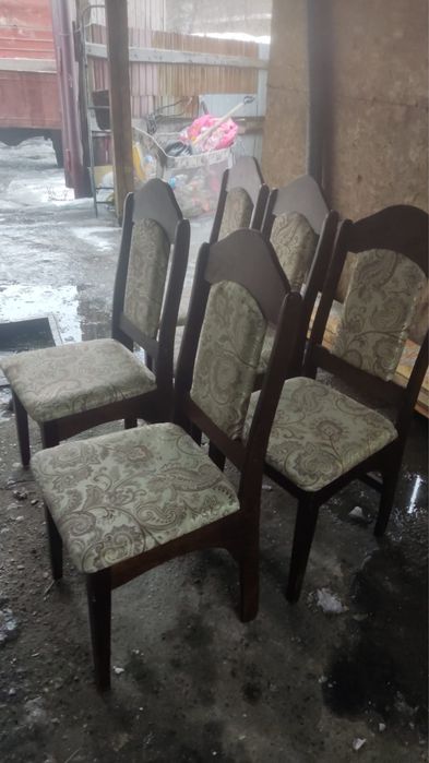 5 шт стулья в отличном состоянии