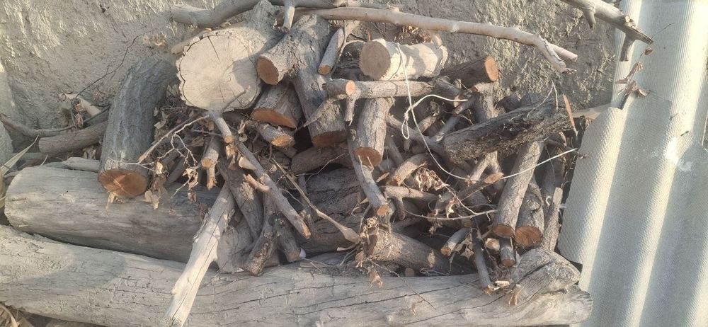 Утинлар сотилади