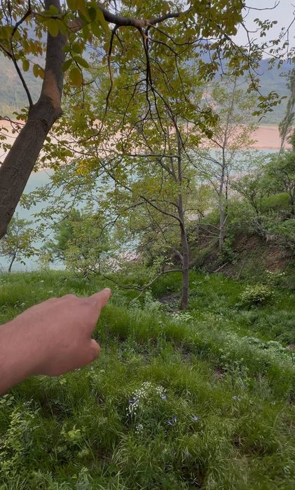 Ховли сотилади Hovli sotiladi Продается участок