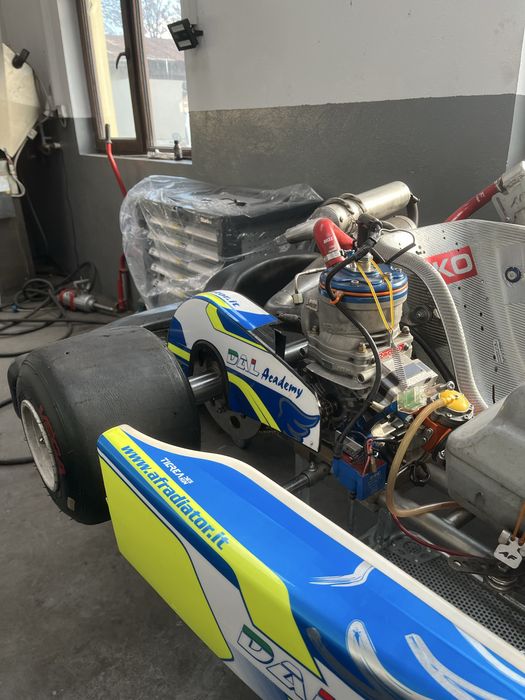 Kart republic kr2-iame reedster
