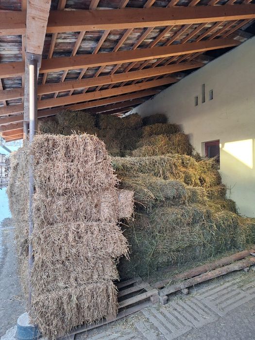 Vand baloți de lucernă