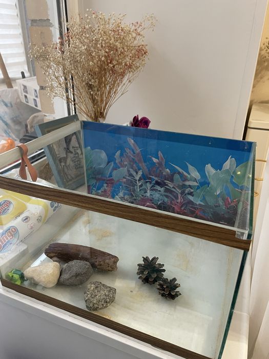 Террариум аквариум