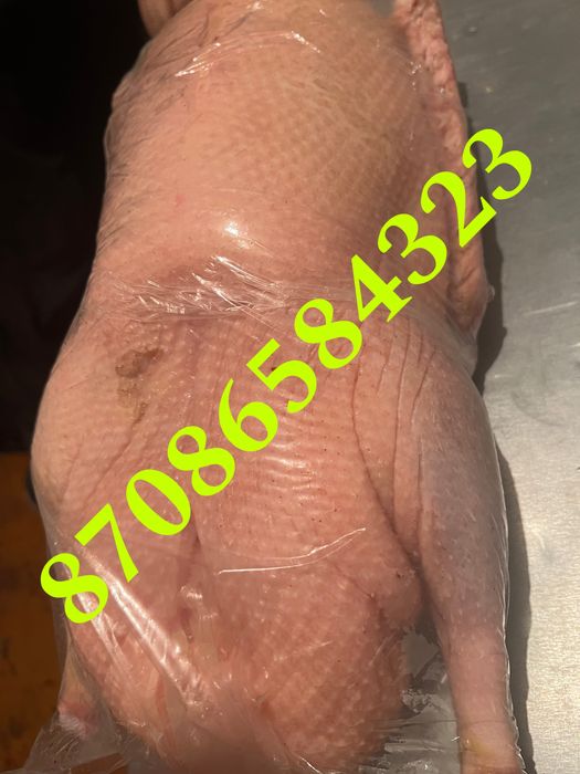 Продам мясо гуся домашнее