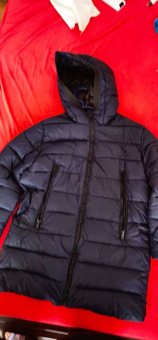 Jacheta matlasata zara