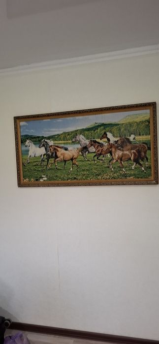 Картинки в хорошем состоянии