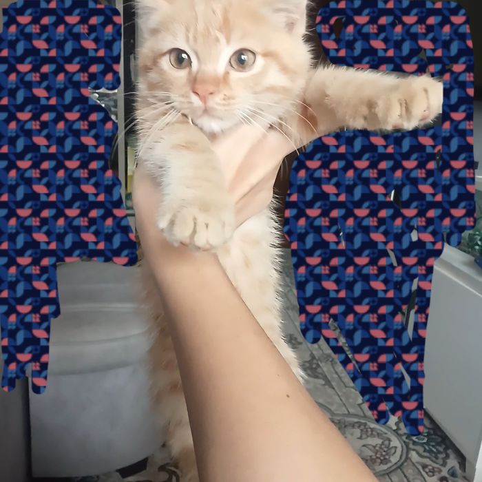 Персик 2,5 месяца