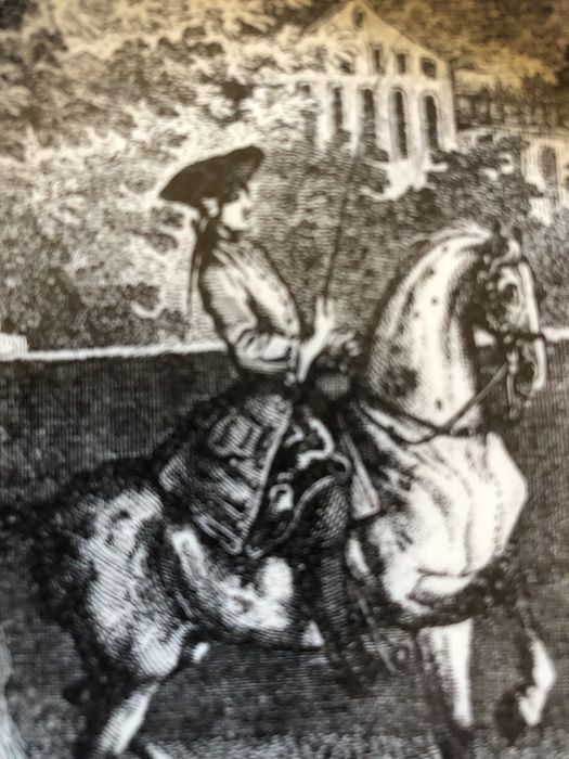 Farfurii mici decorative