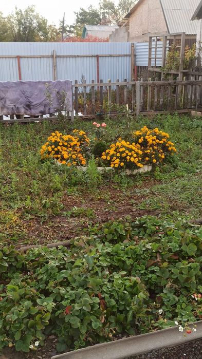 Дача на Фёдоровка