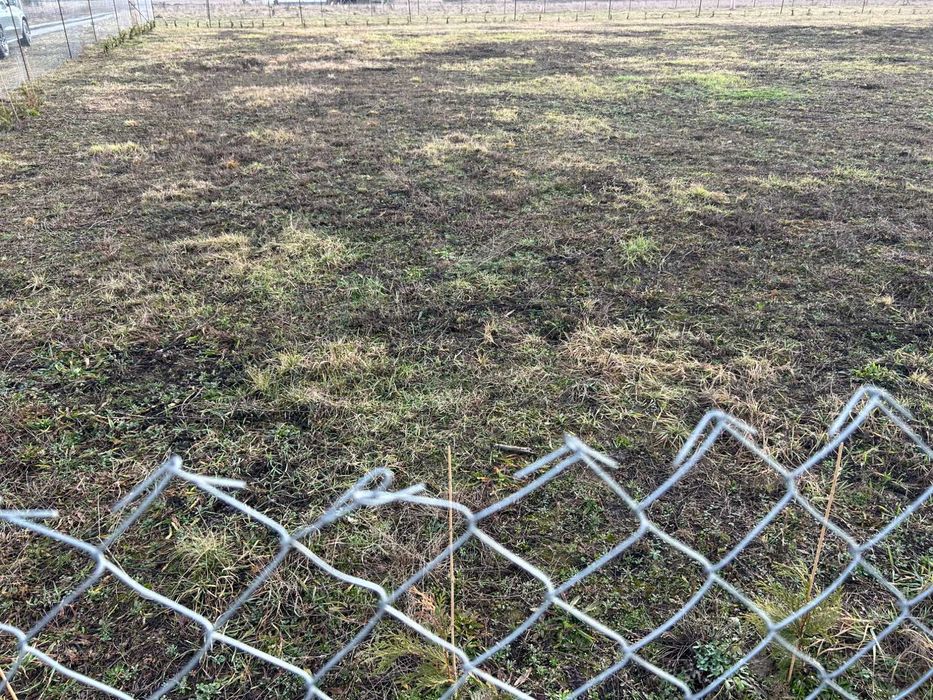 Teren intravilan de închiriat Osorhei Jud.BH | DN E60 | Front S.Mare