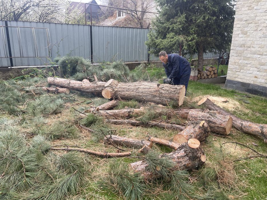 Разнорабочие, копка, спил деревьев, грузчики