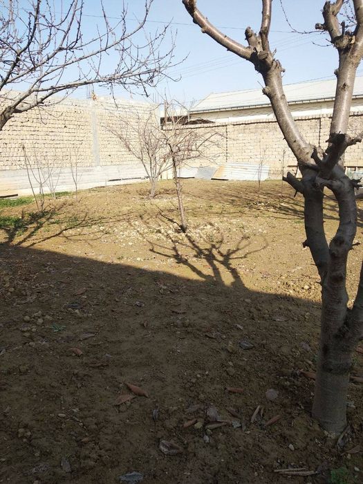 Yer sotiladi 6,5 sotik