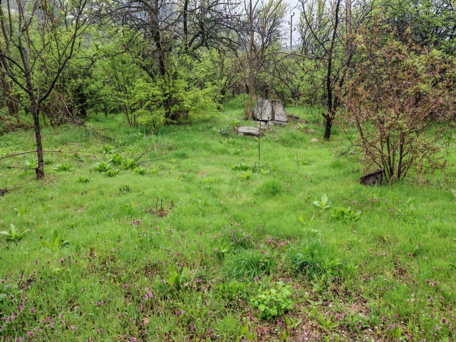 Продава се Къща в Шумен, Дивдядово - 743 кв.м за 89 €/кв.м - Снимка #4