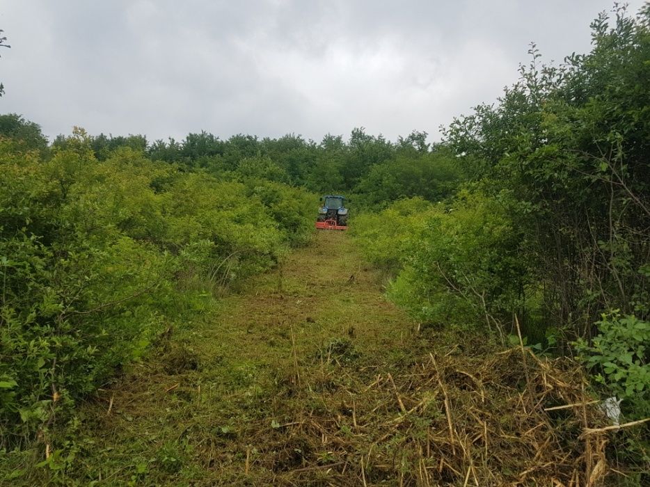 Curățat igienizat  defrisat teren teren sau pășune pasuni tuns gazon