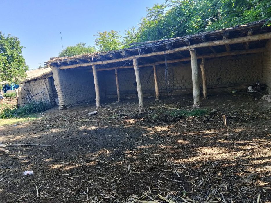 Бука МФИ Qudayqul mahallasi 84 uy