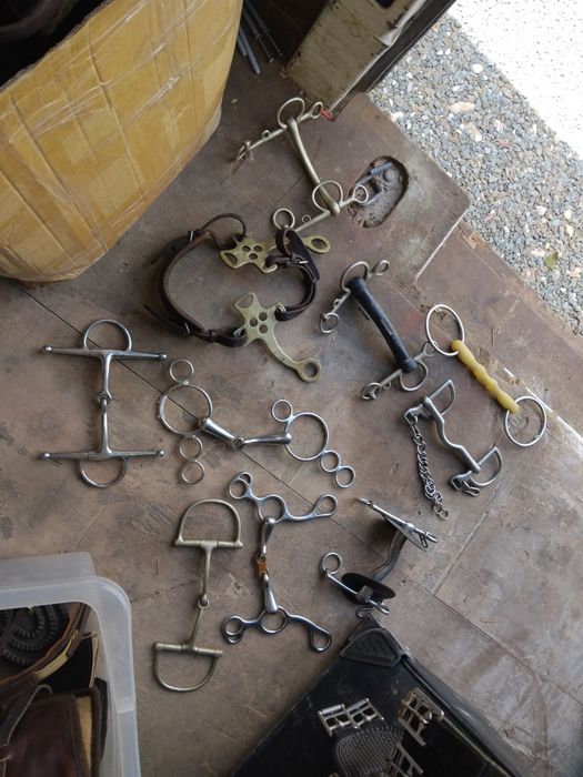 Echipament echitatie/călărie