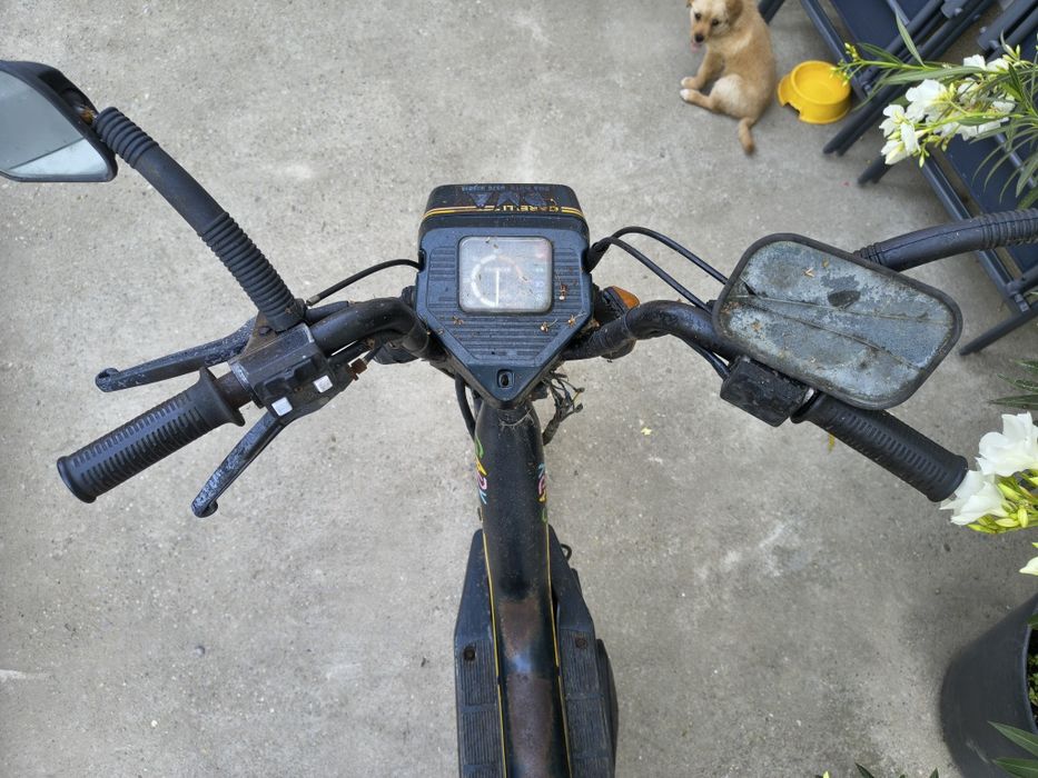 Motoretă cu petale