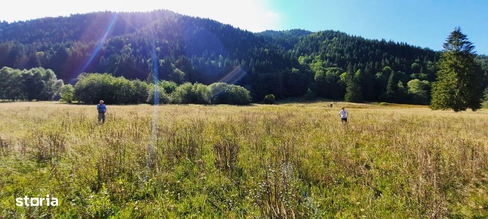 Teren Intravilan | Schitu Tarcau | 2089MP | Izvor | Platou