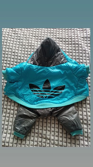 Одежда для той терьера