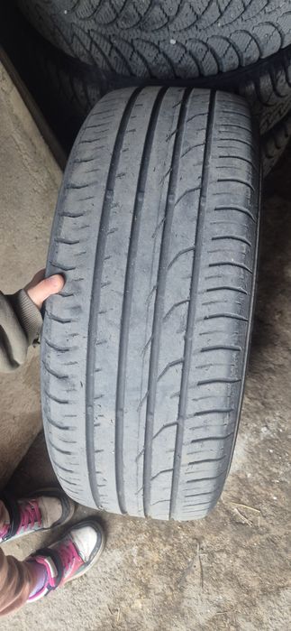 Резина летняя континенталь