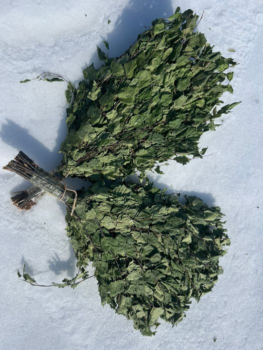 Продам веники березовые