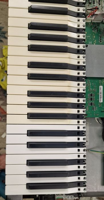 Recondiționare(albire) claviaturi Korg Pa3x,Pa4x,Pa2x,Pa1x