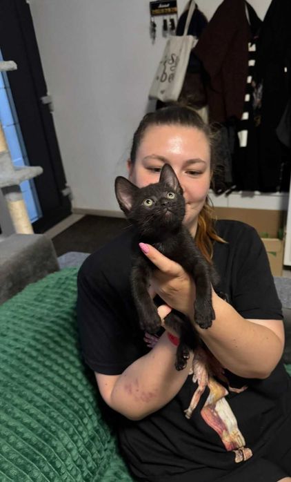 Pet sitter Diana Molnos