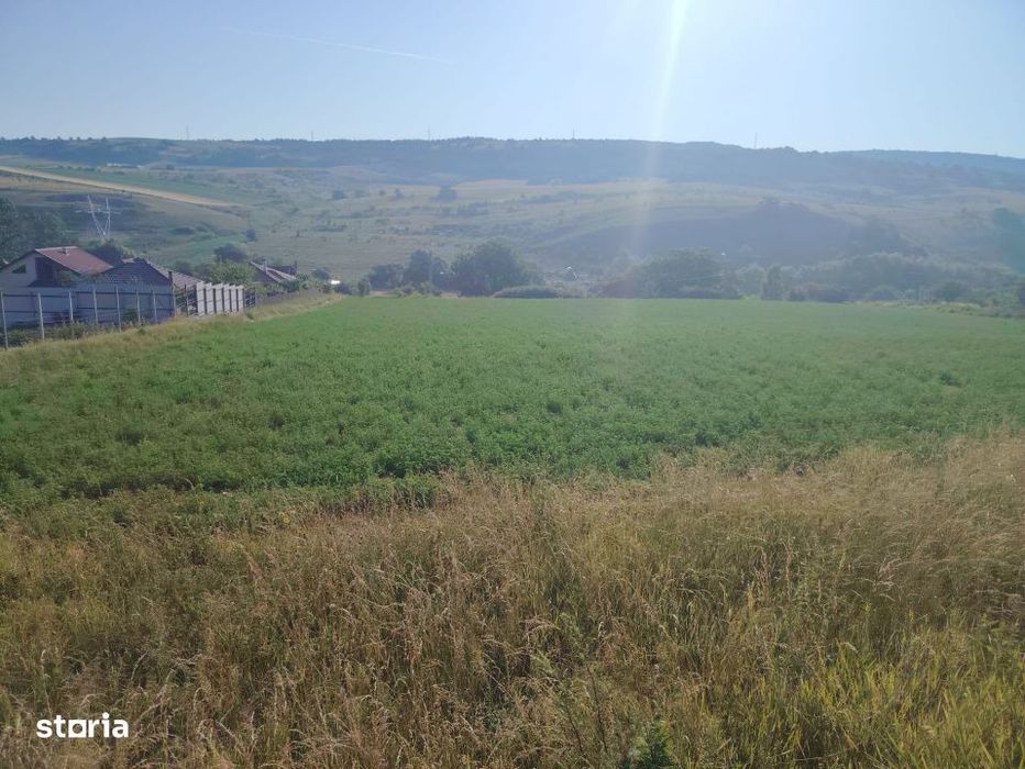 Teren Pentru Dezvoltare Imobiliara - 7.092 Mp - Corusu, Baciu