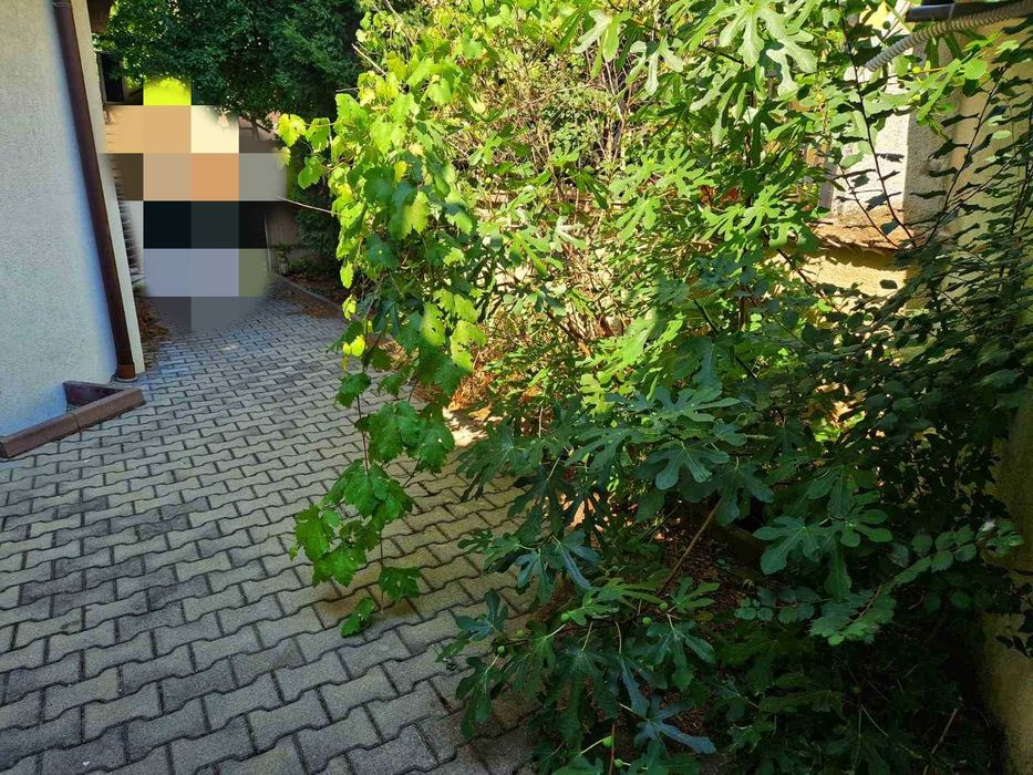 Продава се Едностаен апартамент в Асеновград - 30 кв.м за 1500 €/кв.м - Снимка #1