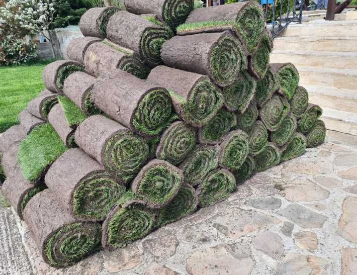 Lucrare Completă cu Gazon Rulou și Sistem Irigare