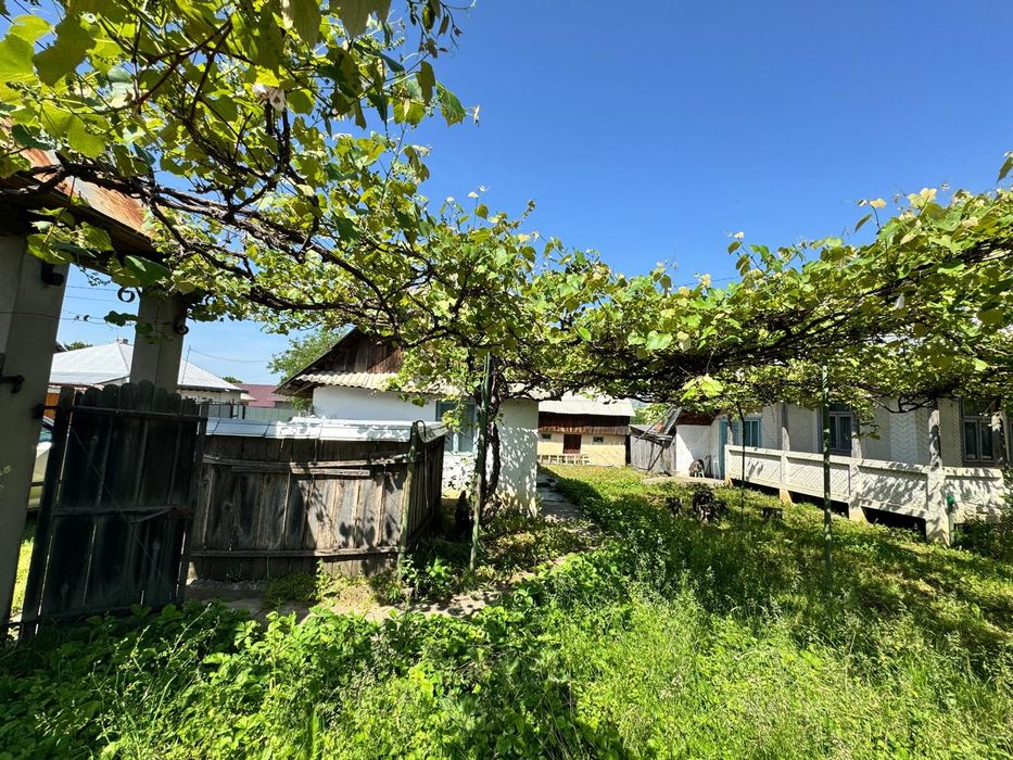 Casa batraneasca cu teren intravilan – Comuna Raucesti, Neamt