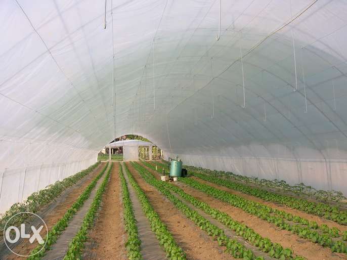 solarii cu folie dubla legumicole pe fonduri europene