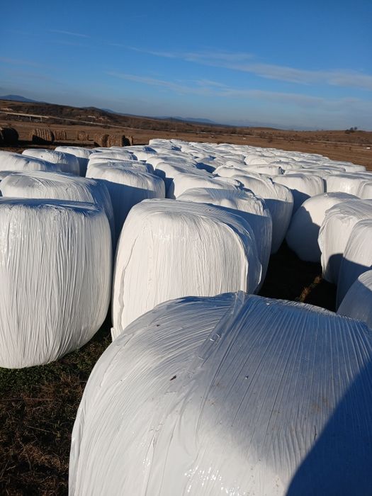 Vand baloti infoliati de fan ,semifan