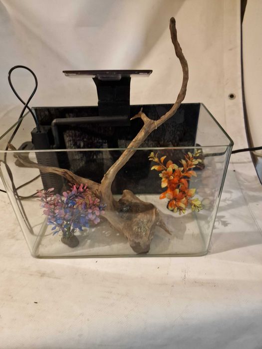 Acvariu 8 l cu filtru si decoruri