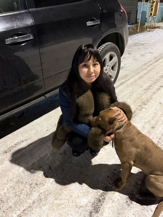 Продам питбуля 6 месяцев