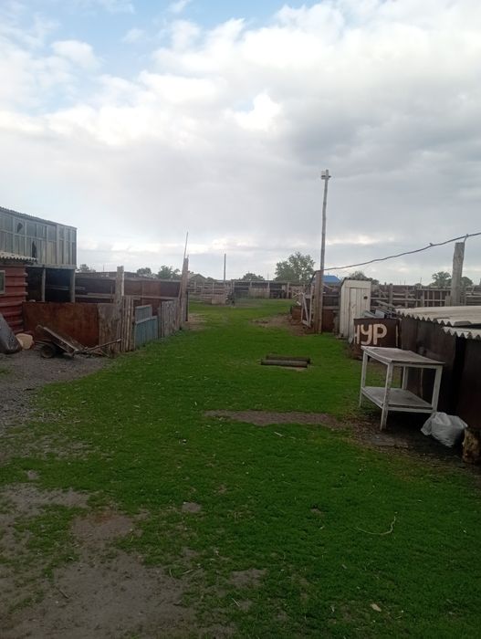 Продам дом в селе Надеждинка