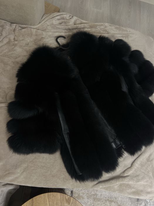 Haina blana vulpe polara