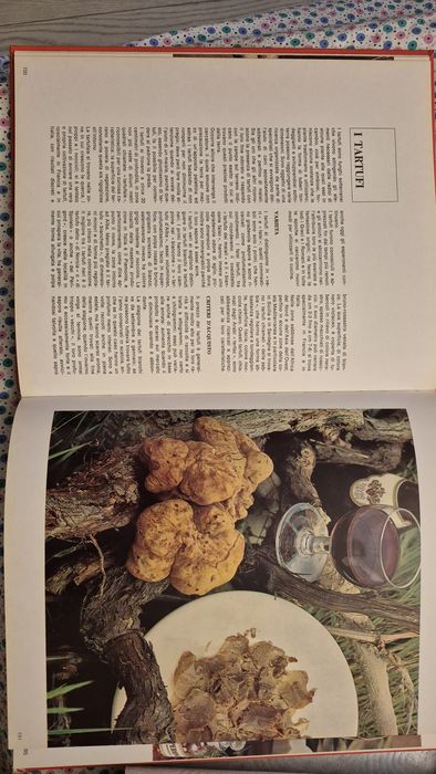 Carte de bucate ITALIA