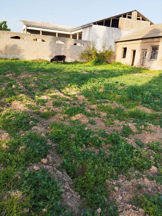 Oqqo'rg'on tumanida yer sotiladi