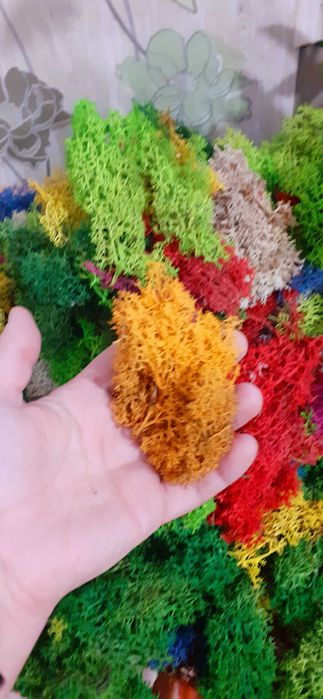 ПРОМО! Скандинавски мъх 20 лв.