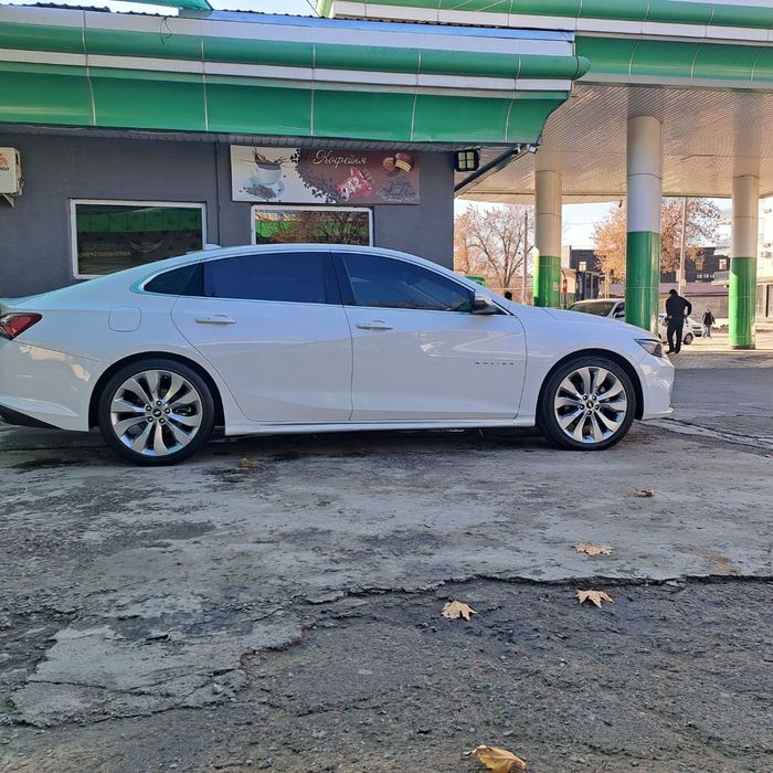 Baloni xolati ortacha