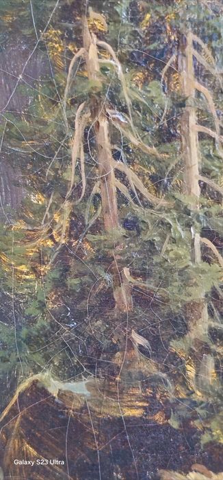 Tablou Austria Ulei pe placaj