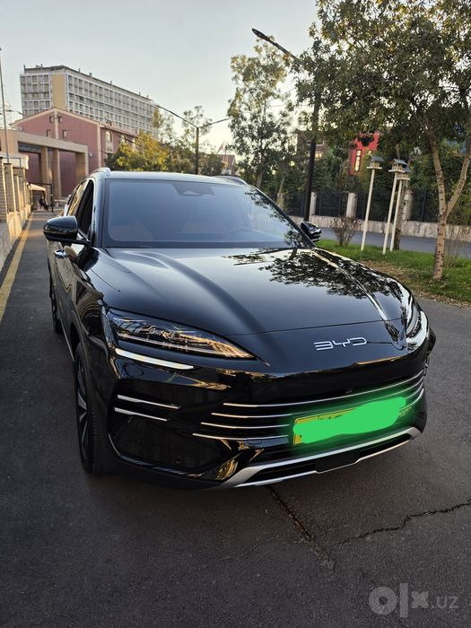 BYD champion 150 km dm