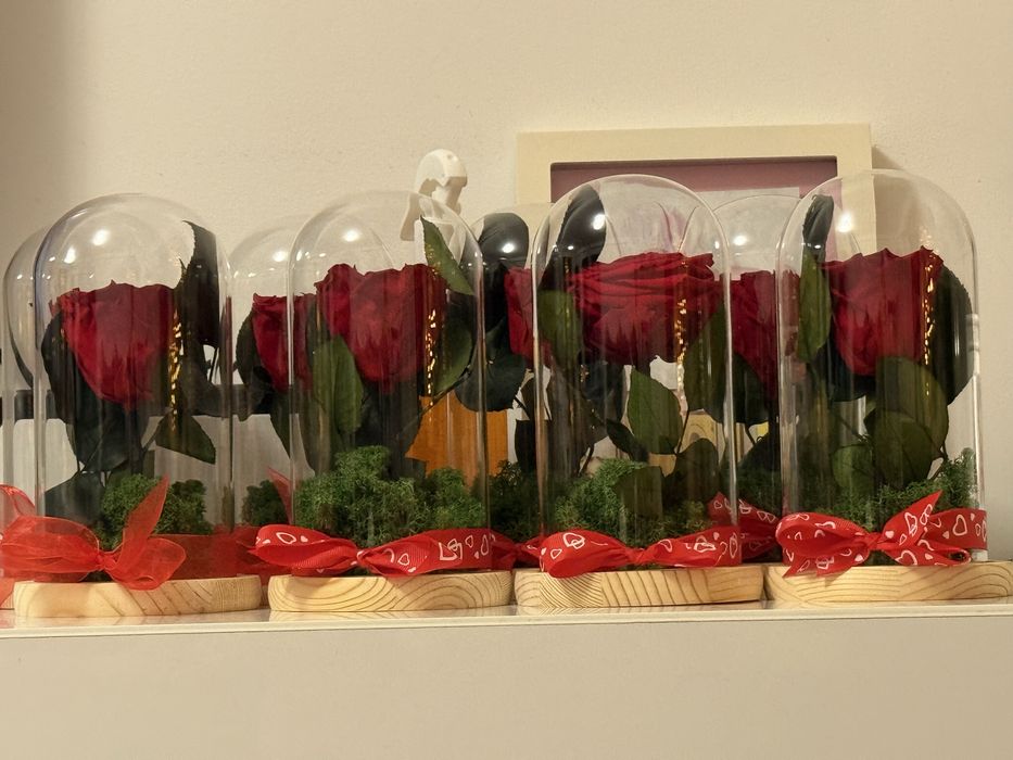 Trandafiri criogenati