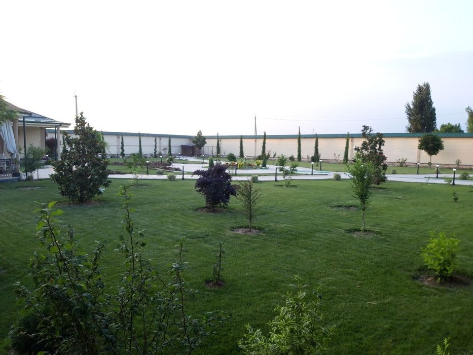 Gazon ekish xizmati