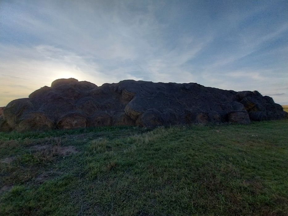 Сено прошлый год