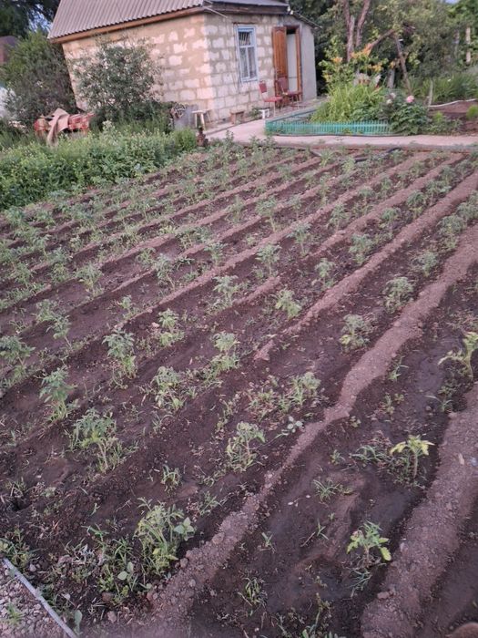 Продам дачу ск локомотивное 10