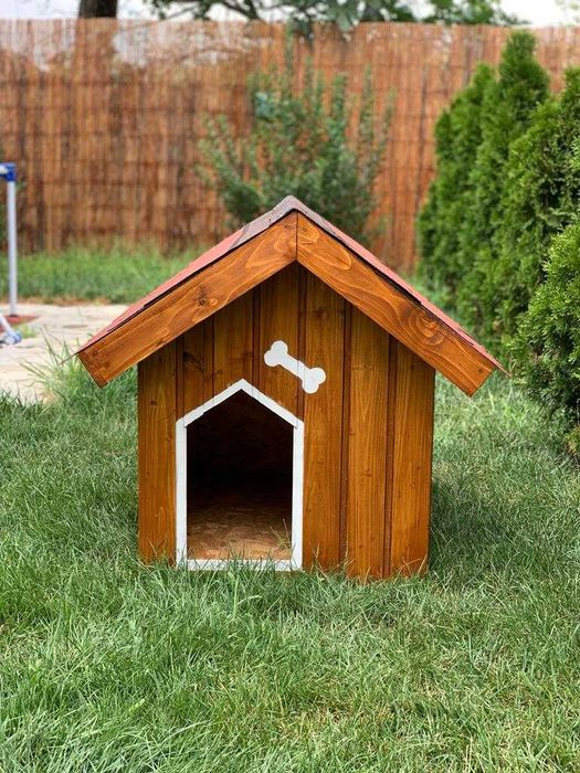 Cusca caine izolata premium