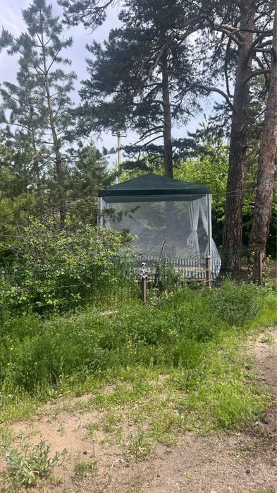 Сдам домик в аренду