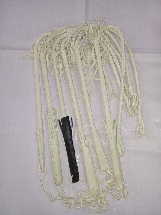 Камшы камчы қамшы